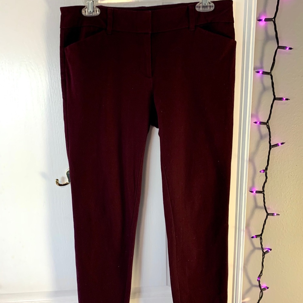 New York & Company | Maroon Pants